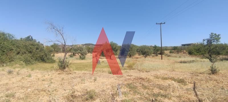Αγροτεμάχια 5.600 τ.μ. πρός πώληση, Μαγνησία, Νέα Ιωνία Βόλου