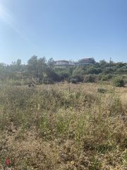 Οικόπεδο 1.181 τ.μ. προς πώληση, Τσικαλαριά Σούδας-thumb-5