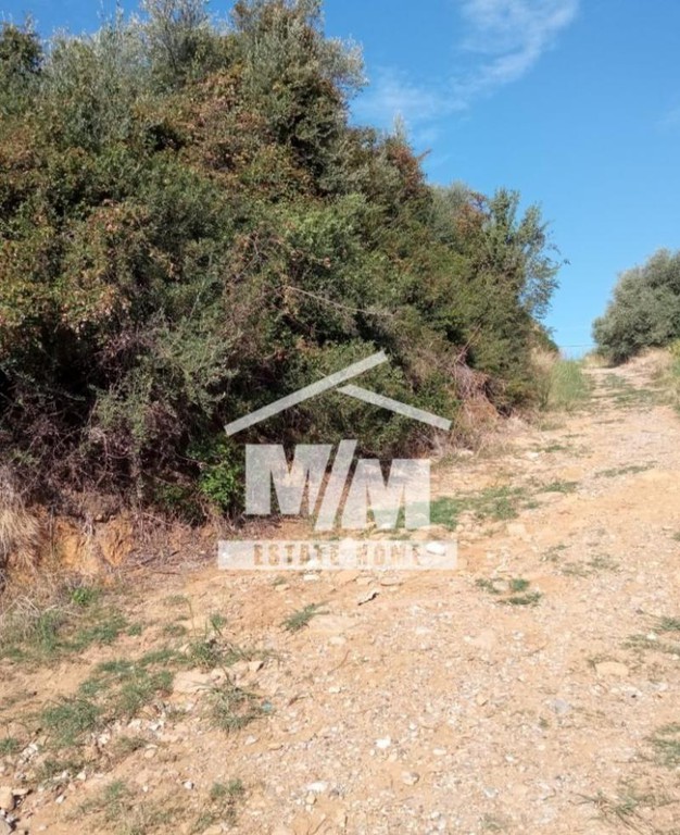 Αγροτεμάχια 11.109 τ.μ. προς πώληση, Αιτωλοακαρνανία, Αγρίνιο