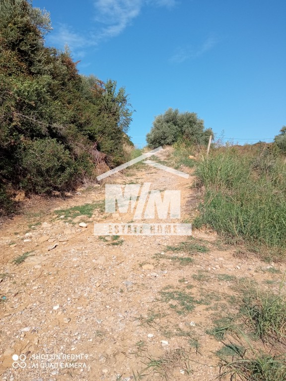 Αγροτεμάχια 11.109 τ.μ. προς πώληση, Αιτωλοακαρνανία, Αγρίνιο