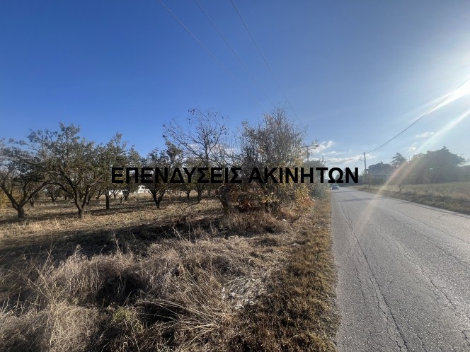 Αγροτεμάχια 4.000 τ.μ. πρός πώληση, Θεσσαλονίκη - Περιφ/Κοί Δήμοι, Θέρμη