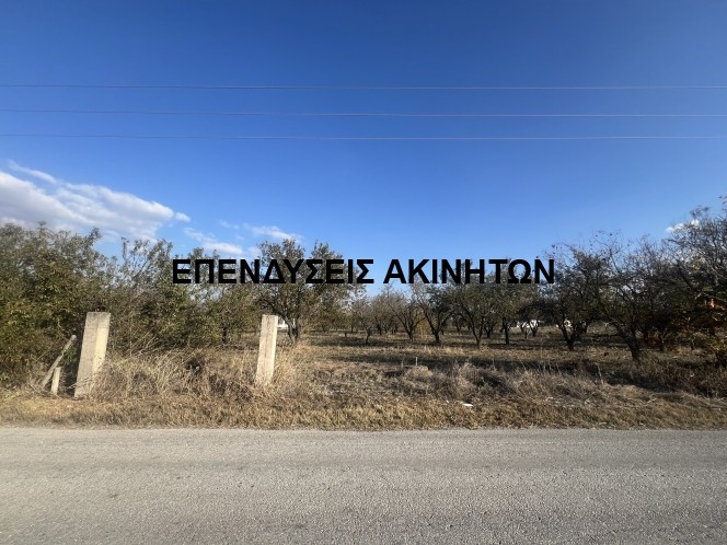 Αγροτεμάχια 4.000 τ.μ. πρός πώληση, Θεσσαλονίκη - Περιφ/Κοί Δήμοι, Θέρμη