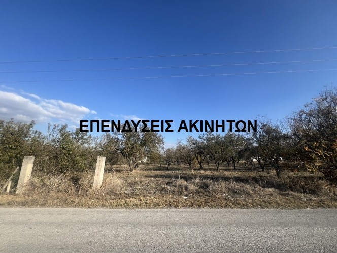 Αγροτεμάχια 4.000 τ.μ. πρός πώληση, Θεσσαλονίκη - Περιφ/Κοί Δήμοι, Θέρμη