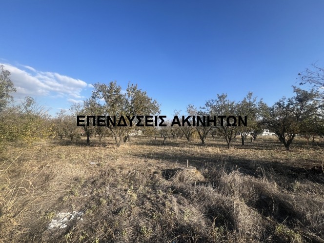 Αγροτεμάχια 4.000 τ.μ. πρός πώληση, Θεσσαλονίκη - Περιφ/Κοί Δήμοι, Θέρμη