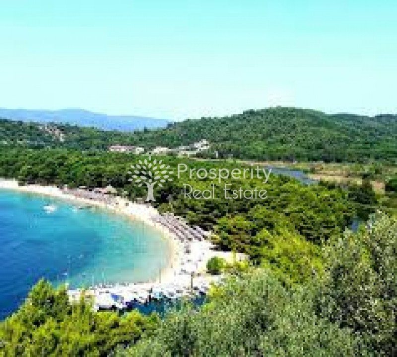 Οικόπεδο 8.163 τ.μ. πρός πώληση, Σποράδες, Σκιάθος