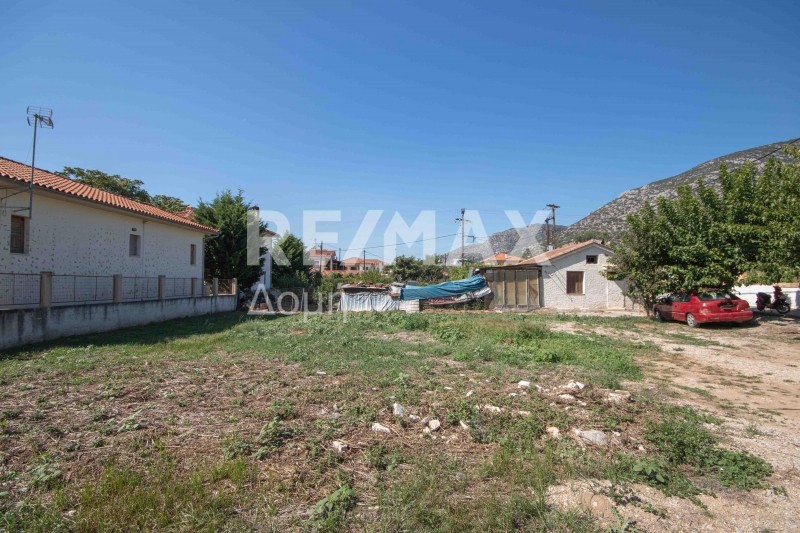 Οικόπεδο 450 τ.μ. πρός πώληση, Μαγνησία, Αγριά