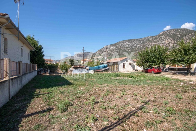 Οικόπεδο 450 τ.μ. πρός πώληση, Μαγνησία, Αγριά
