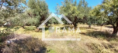 Land plot 1.500sqm for sale-Rio » Agios Vasileios