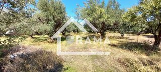 Οικόπεδο 1.500 τ.μ. για πώληση