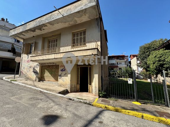 Μονοκατοικία 210 τ.μ. για πώληση, Ημαθία, Νάουσα