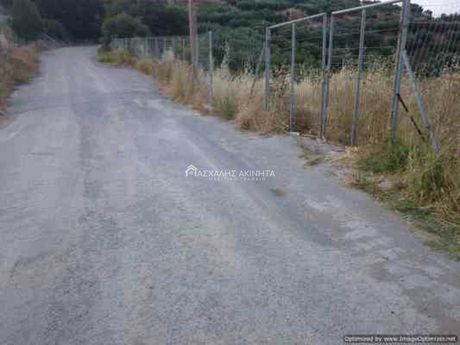 Οικόπεδο 3.000 τ.μ. για πώληση