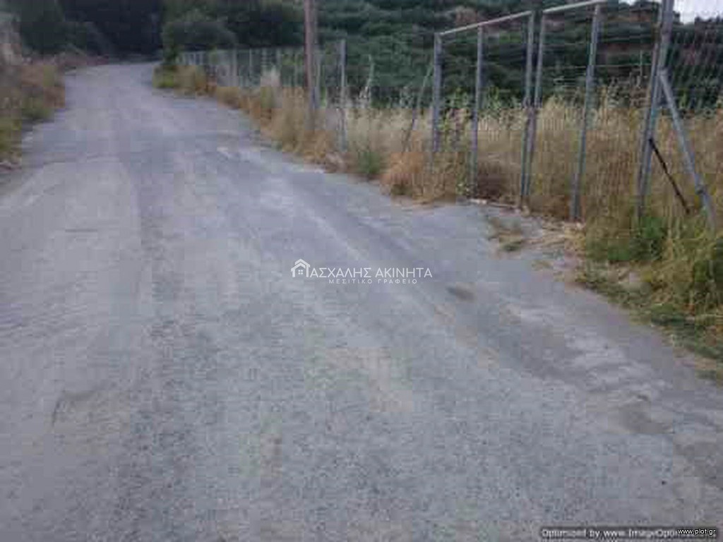 Οικόπεδο 3.000 τ.μ. προς πώληση, Ρογδιά