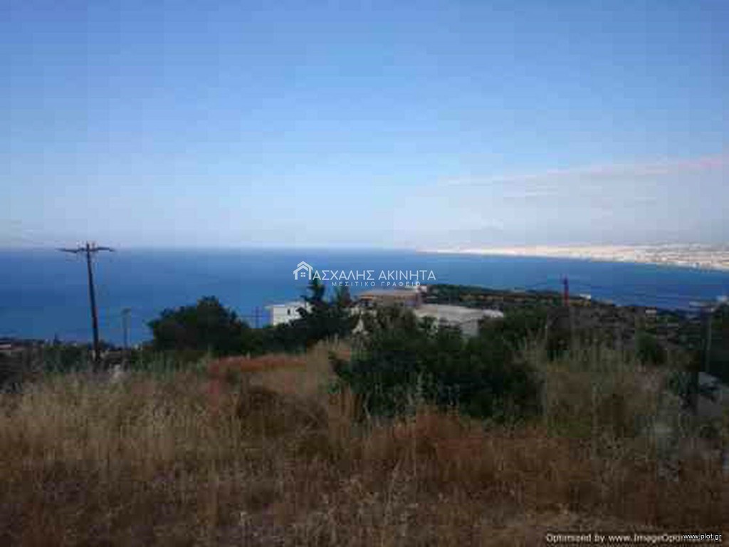 Οικόπεδο 3.000 τ.μ. προς πώληση, Ρογδιά