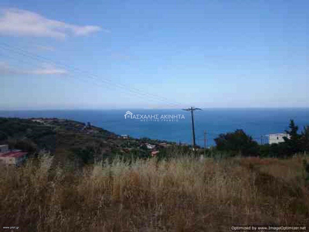 Οικόπεδο 3.000 τ.μ. προς πώληση, Ρογδιά