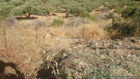 Land plot 10.000sqm for sale-Gouves » Elia