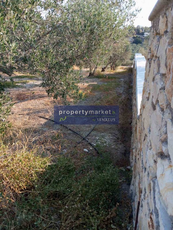 Οικόπεδο 2.200 τ.μ. πρός πώληση, Ν. Ρεθύμνου, Αρκάδι
