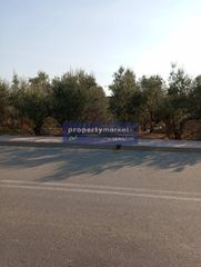 Οικόπεδο 2.200 τ.μ. για πώληση, Ν. Ρεθύμνου, Αρκάδι-thumb-7