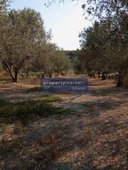Οικόπεδο 2.200 τ.μ. για πώληση, Ν. Ρεθύμνου, Αρκάδι-thumb-2