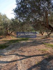 Οικόπεδο 2.200 τ.μ. για πώληση, Ν. Ρεθύμνου, Αρκάδι-thumb-5