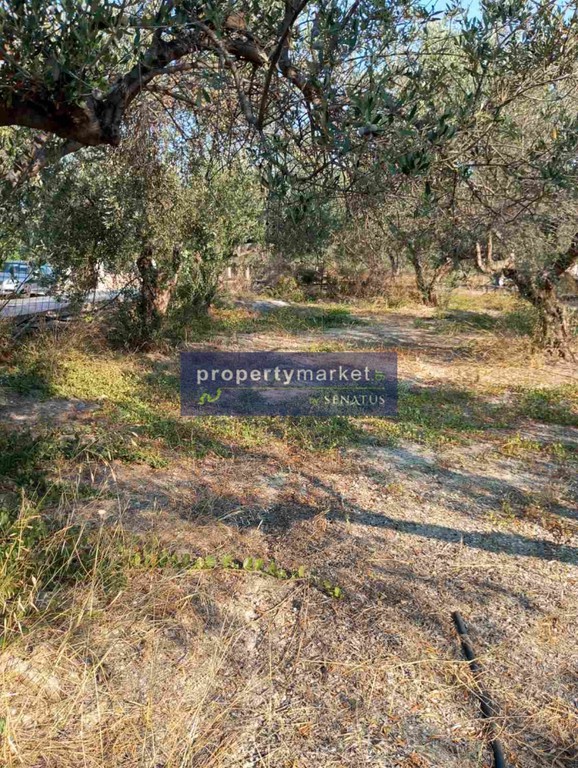 Οικόπεδο 2.200 τ.μ. πρός πώληση, Ν. Ρεθύμνου, Αρκάδι