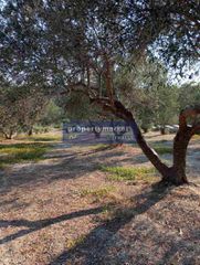 Οικόπεδο 2.200 τ.μ. για πώληση, Ν. Ρεθύμνου, Αρκάδι-thumb-4