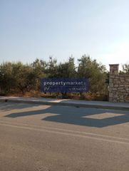 Οικόπεδο 2.200 τ.μ. για πώληση