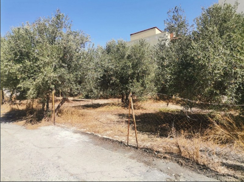 Οικόπεδο 443 τ.μ. προς πώληση, Ν. Ηρακλείου, Ηράκλειο Κρήτης