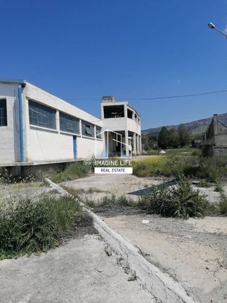 Βιομηχανικός χώρος 1.300 τ.μ. για πώληση, Θεσσαλονίκη - Περιφ/Κοί Δήμοι, Καλλιθέα