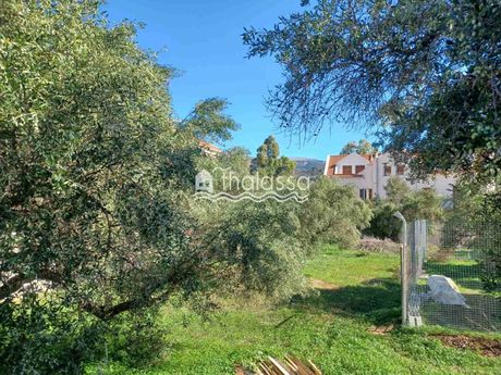 Οικόπεδο 1.370τ.μ. για πώληση-Κεφαλονιά » Αργοστόλι