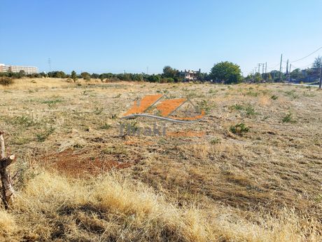 Αγροτεμάχια 4.000τ.μ. για πώληση-Αλεξανδρούπολη » Νέα χιλή