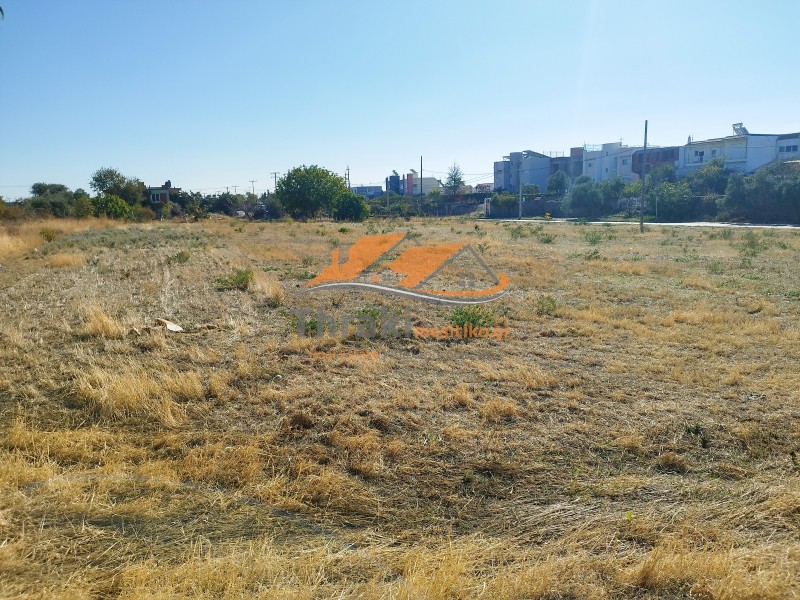 Αγροτεμάχια 4.000 τ.μ. προς πώληση, Νέα Χιλή