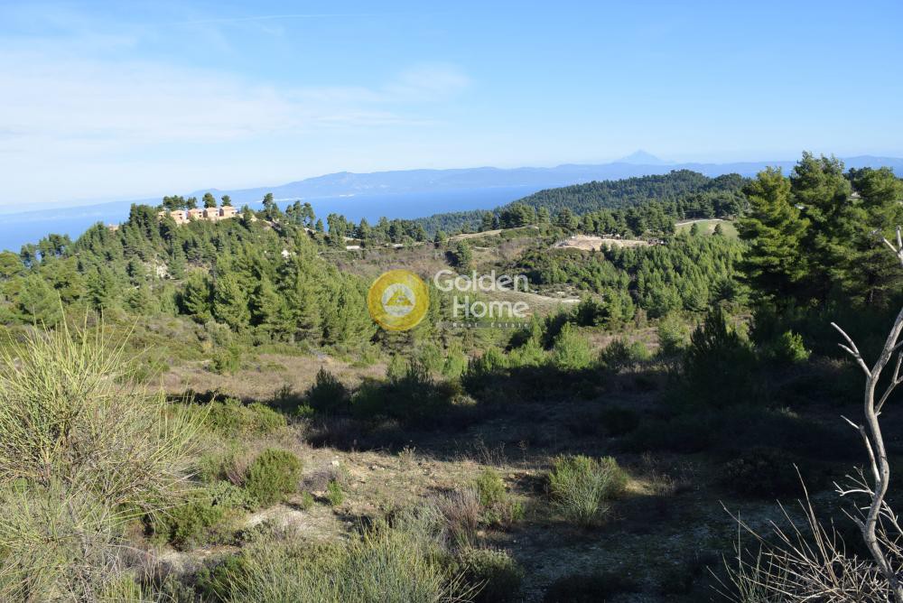 Αγροτεμάχια 4.503 τ.μ. προς πώληση, Αγία Παρασκευή Παλλήνης