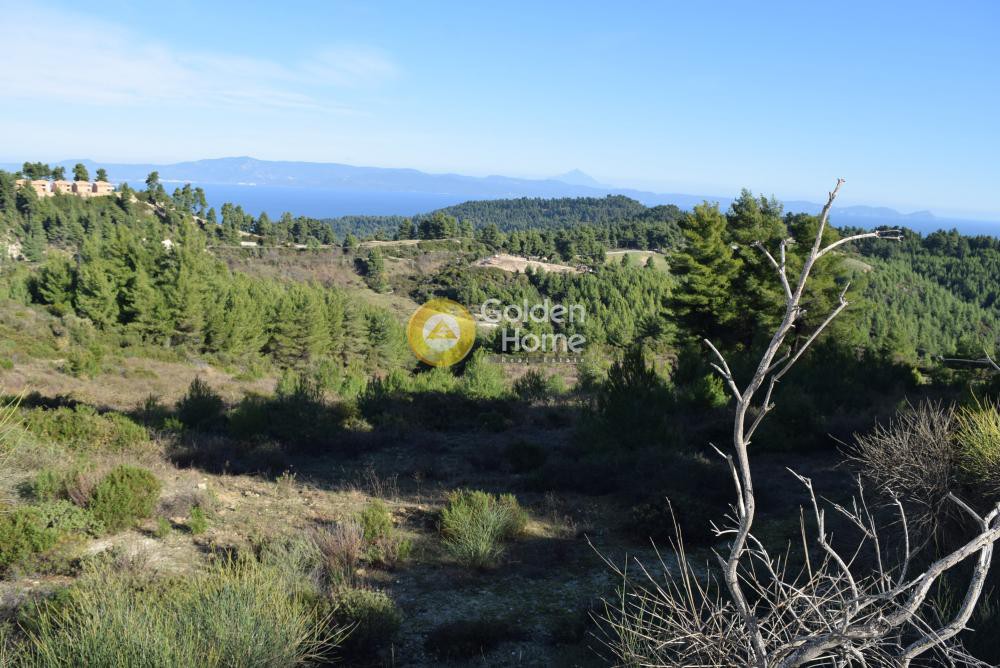Αγροτεμάχια 4.503 τ.μ. προς πώληση, Αγία Παρασκευή Παλλήνης