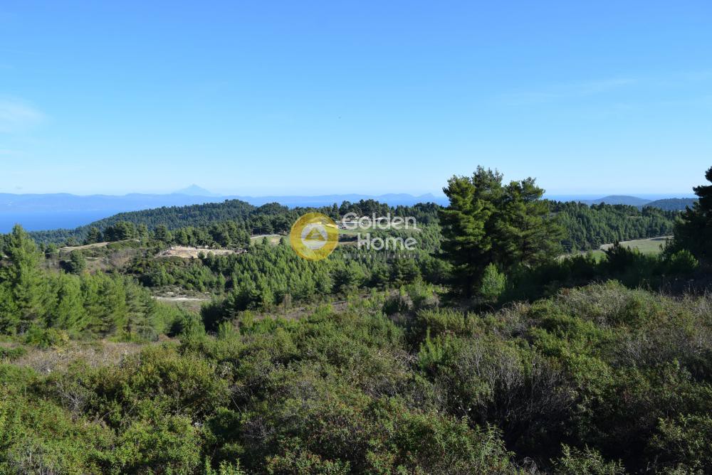 Αγροτεμάχια 4.503 τ.μ. προς πώληση, Αγία Παρασκευή Παλλήνης