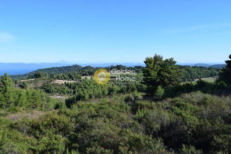 Parcel 4.503sqm for sale-Pallini » Agia Paraskevi