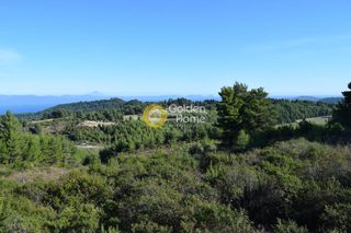 Αγροτεμάχια 4.503 τ.μ. για πώληση