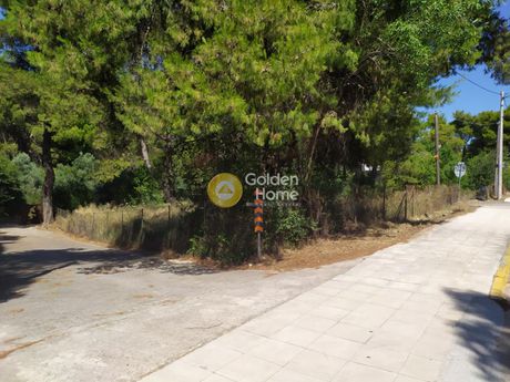 Land plot 840sqm for sale-Drosia