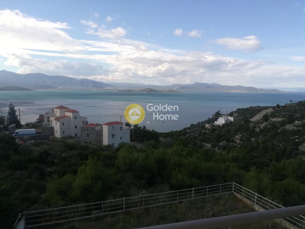 Μονοκατοικία 200 τ.μ. πρός πώληση, Φθιώτιδας, Μαλεσίνα