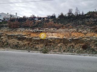 Οικόπεδο 1.020 τ.μ. για πώληση, Αττική - Υπόλοιπο, Πικέρμι-thumb-1