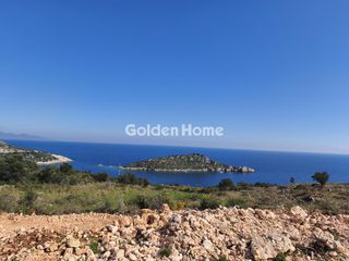 Αγροτεμάχια 18.500 τ.μ. για πώληση