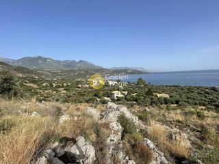 Οικόπεδο 14.000 τ.μ. για πώληση, Μεσσηνία, Λεύκτρος-thumb-5