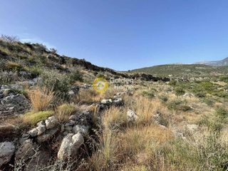 Οικόπεδο 14.000 τ.μ. για πώληση, Μεσσηνία, Λεύκτρος-thumb-4