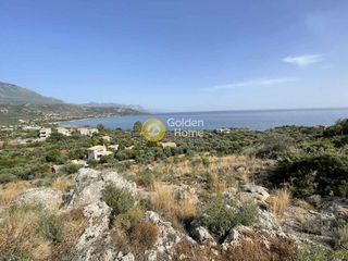 Οικόπεδο 14.000 τ.μ. για πώληση
