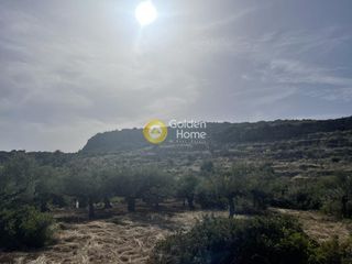Οικόπεδο 14.000 τ.μ. για πώληση, Μεσσηνία, Λεύκτρος-thumb-6