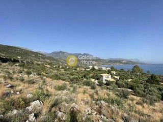 Οικόπεδο 14.000 τ.μ. για πώληση, Μεσσηνία, Λεύκτρος-thumb-2