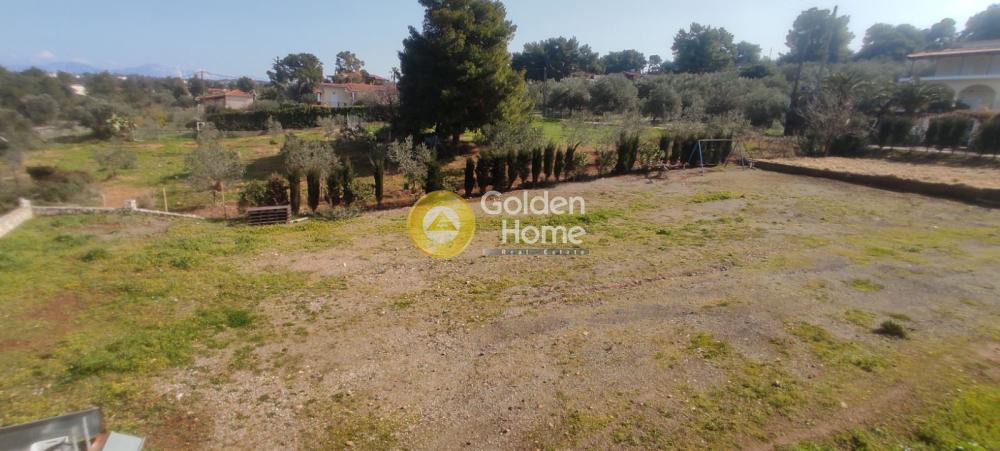 Κτίριο 700 τ.μ. προς πώληση, Θεολόγος Μαλεσίνας