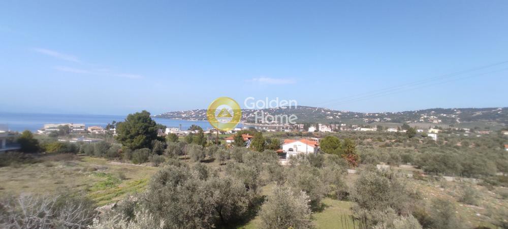Κτίριο 700 τ.μ. προς πώληση, Θεολόγος Μαλεσίνας