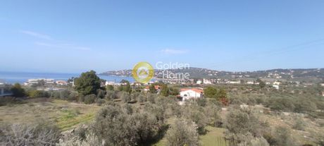 Building 700sqm for sale-Malesina » Theologos