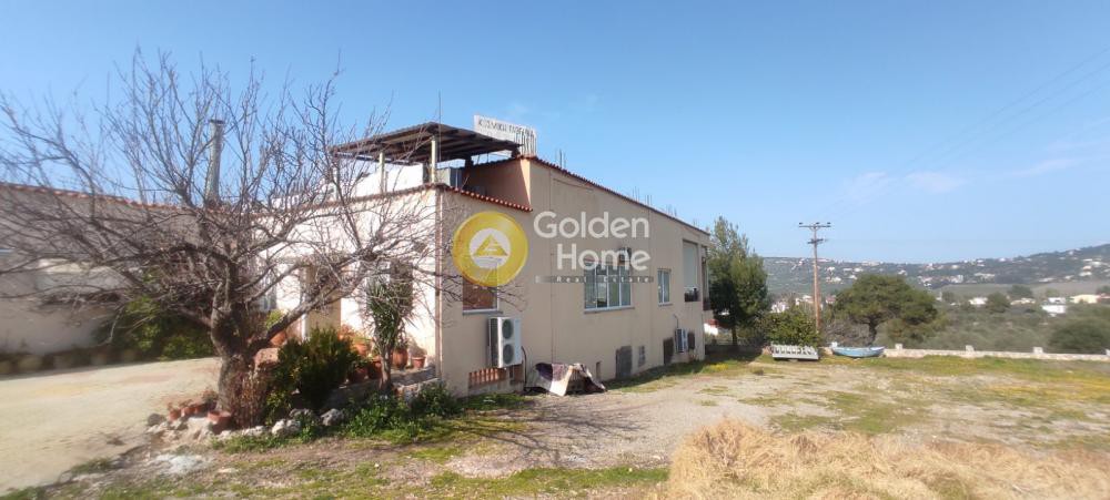 Κτίριο 700 τ.μ. προς πώληση, Θεολόγος Μαλεσίνας
