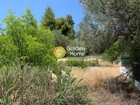 Land plot 1.623sqm for rent-Oropos » Nea Politeia